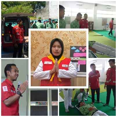 PMR